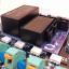 Picture of synesso_psu